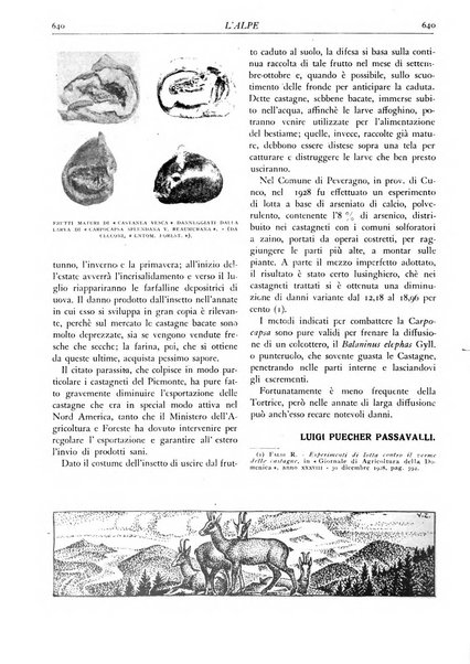 L'alpe rivista forestale italiana fondata dalla Società emiliana pro-montibus et sylvis