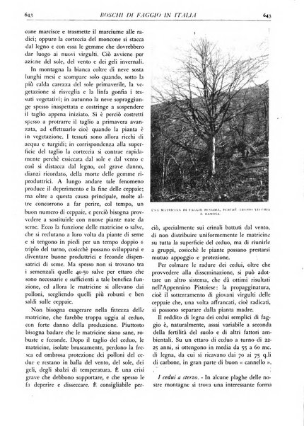 L'alpe rivista forestale italiana fondata dalla Società emiliana pro-montibus et sylvis