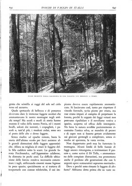 L'alpe rivista forestale italiana fondata dalla Società emiliana pro-montibus et sylvis