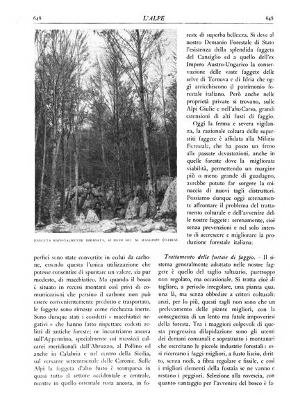 L'alpe rivista forestale italiana fondata dalla Società emiliana pro-montibus et sylvis