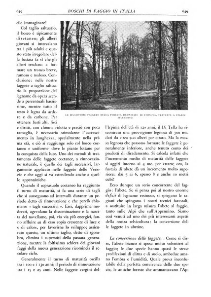 L'alpe rivista forestale italiana fondata dalla Società emiliana pro-montibus et sylvis