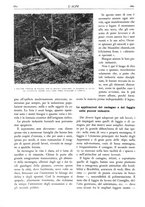 giornale/TO00174164/1931/unico/00000710