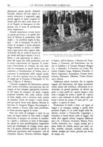 giornale/TO00174164/1931/unico/00000717