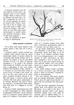 giornale/TO00174164/1932/unico/00000041