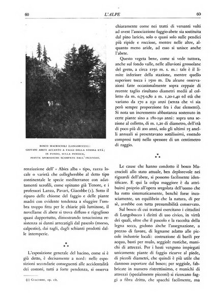 L'alpe rivista forestale italiana fondata dalla Società emiliana pro-montibus et sylvis