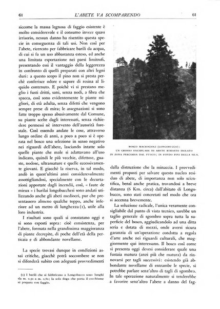 L'alpe rivista forestale italiana fondata dalla Società emiliana pro-montibus et sylvis