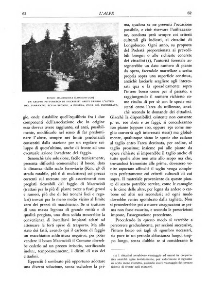 L'alpe rivista forestale italiana fondata dalla Società emiliana pro-montibus et sylvis