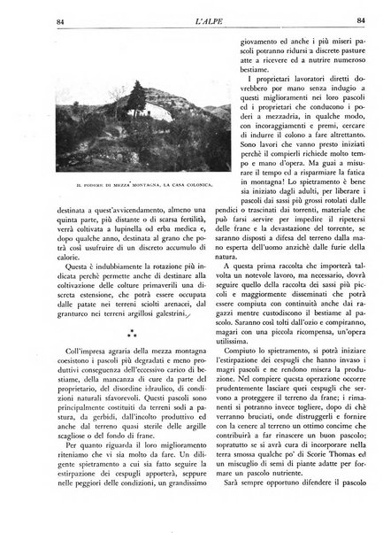 L'alpe rivista forestale italiana fondata dalla Società emiliana pro-montibus et sylvis