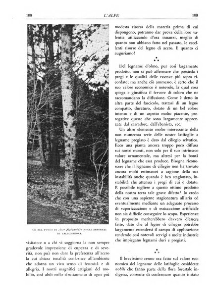 L'alpe rivista forestale italiana fondata dalla Società emiliana pro-montibus et sylvis