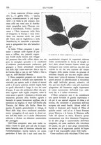 giornale/TO00174164/1932/unico/00000135