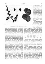 giornale/TO00174164/1932/unico/00000136