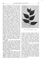 giornale/TO00174164/1932/unico/00000143