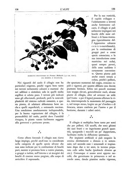 L'alpe rivista forestale italiana fondata dalla Società emiliana pro-montibus et sylvis