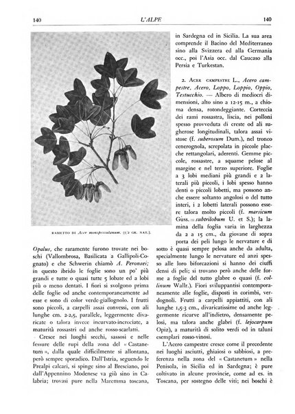 L'alpe rivista forestale italiana fondata dalla Società emiliana pro-montibus et sylvis