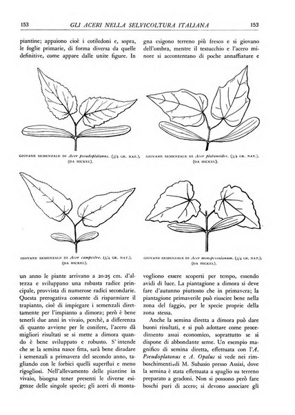 L'alpe rivista forestale italiana fondata dalla Società emiliana pro-montibus et sylvis