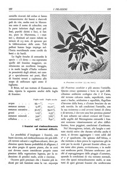 L'alpe rivista forestale italiana fondata dalla Società emiliana pro-montibus et sylvis