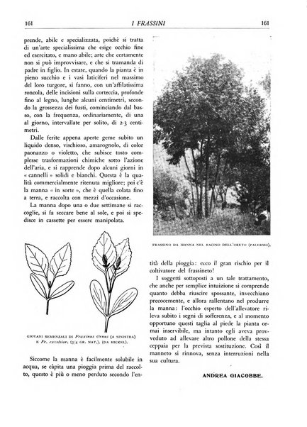 L'alpe rivista forestale italiana fondata dalla Società emiliana pro-montibus et sylvis