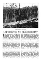 giornale/TO00174164/1932/unico/00000193