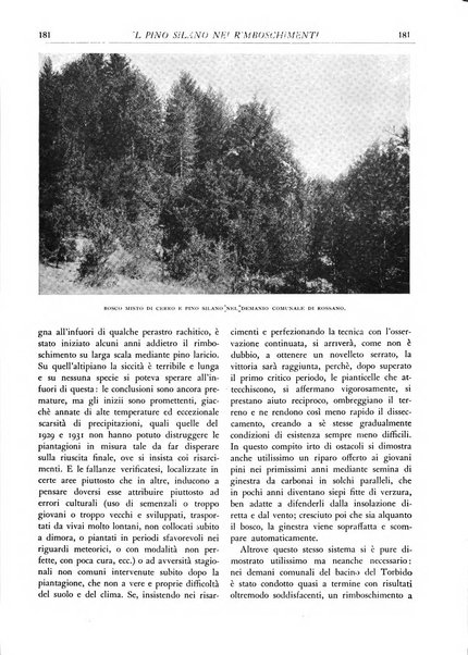 L'alpe rivista forestale italiana fondata dalla Società emiliana pro-montibus et sylvis