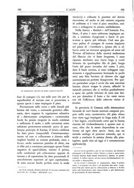 L'alpe rivista forestale italiana fondata dalla Società emiliana pro-montibus et sylvis