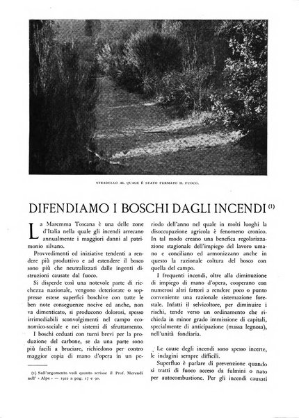 L'alpe rivista forestale italiana fondata dalla Società emiliana pro-montibus et sylvis