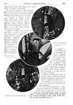 giornale/TO00174164/1932/unico/00000279