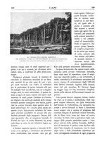 giornale/TO00174164/1932/unico/00000316