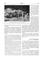 giornale/TO00174164/1932/unico/00000318