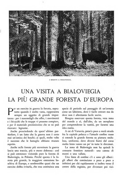 L'alpe rivista forestale italiana fondata dalla Società emiliana pro-montibus et sylvis