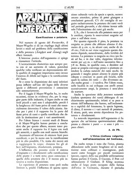 L'alpe rivista forestale italiana fondata dalla Società emiliana pro-montibus et sylvis