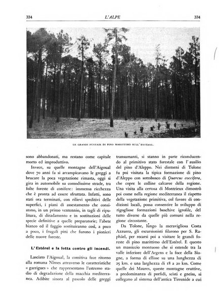 L'alpe rivista forestale italiana fondata dalla Società emiliana pro-montibus et sylvis