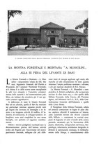 giornale/TO00174164/1932/unico/00000367