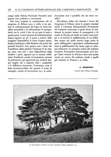 L'alpe rivista forestale italiana fondata dalla Società emiliana pro-montibus et sylvis