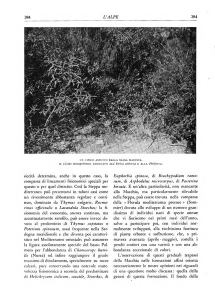 L'alpe rivista forestale italiana fondata dalla Società emiliana pro-montibus et sylvis