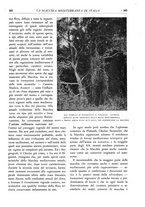 giornale/TO00174164/1932/unico/00000419
