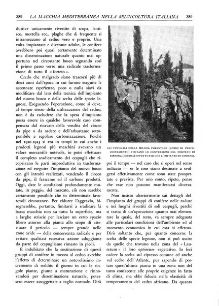 L'alpe rivista forestale italiana fondata dalla Società emiliana pro-montibus et sylvis