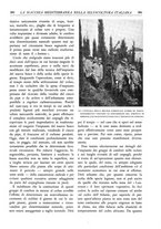 giornale/TO00174164/1932/unico/00000423