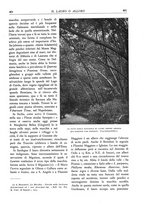 giornale/TO00174164/1932/unico/00000435