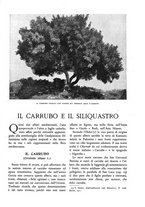 giornale/TO00174164/1932/unico/00000441