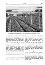 giornale/TO00174164/1932/unico/00000446