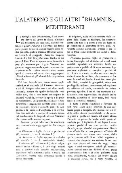 L'alpe rivista forestale italiana fondata dalla Società emiliana pro-montibus et sylvis