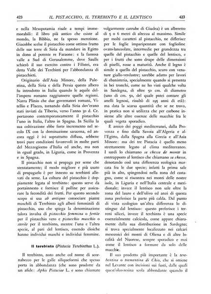 L'alpe rivista forestale italiana fondata dalla Società emiliana pro-montibus et sylvis