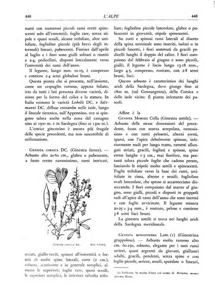 L'alpe rivista forestale italiana fondata dalla Società emiliana pro-montibus et sylvis