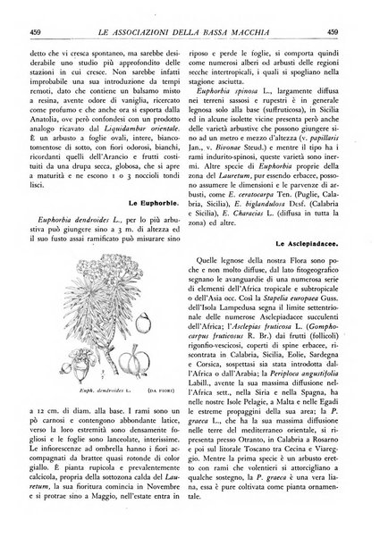 L'alpe rivista forestale italiana fondata dalla Società emiliana pro-montibus et sylvis