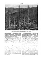giornale/TO00174164/1933/unico/00000010