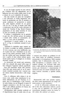 giornale/TO00174164/1933/unico/00000023
