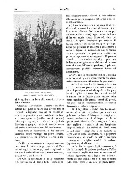 L'alpe rivista forestale italiana fondata dalla Società emiliana pro-montibus et sylvis