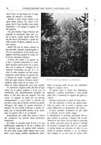 giornale/TO00174164/1933/unico/00000039