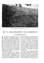 giornale/TO00174164/1933/unico/00000087