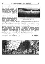 giornale/TO00174164/1933/unico/00000091